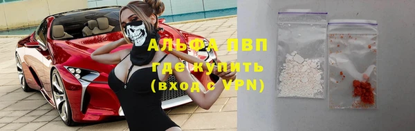 дживик Мурманск