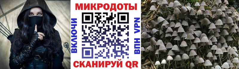 Галлюциногенные грибы прущие грибы  Рубцовск 