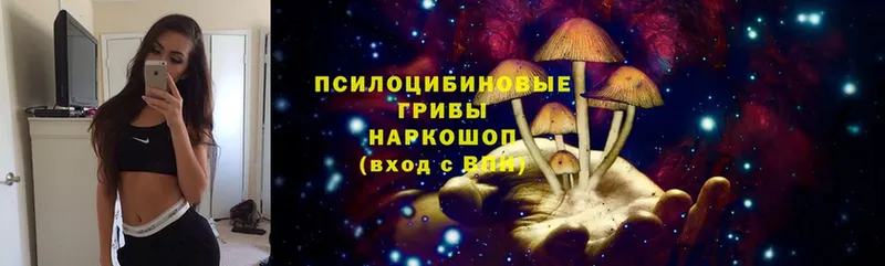 купить наркотики цена  Рубцовск  Галлюциногенные грибы Psilocybe 