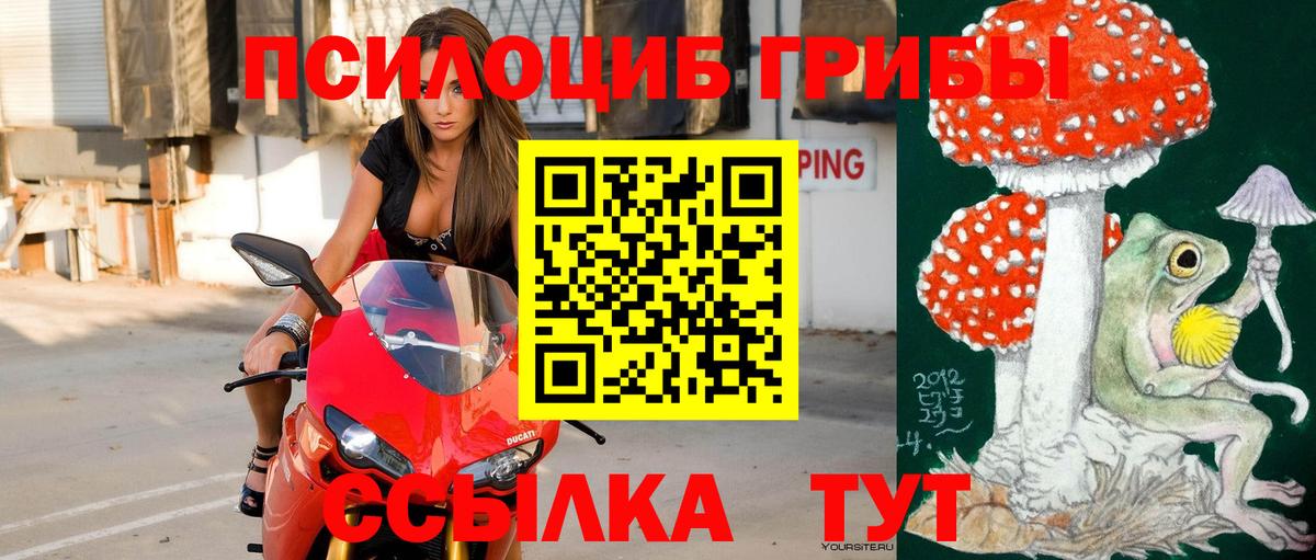 Галлюциногенные грибы мицелий  Вход с VPN  Рубцовск 