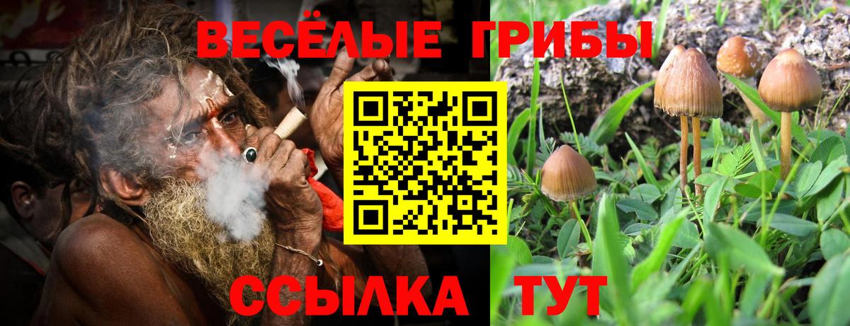 Псилоцибиновые грибы Magic Shrooms  Рубцовск 