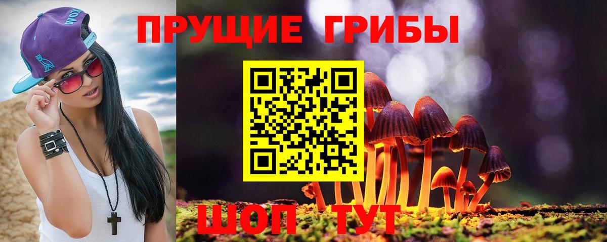 Галлюциногенные грибы мухоморы Рубцовск